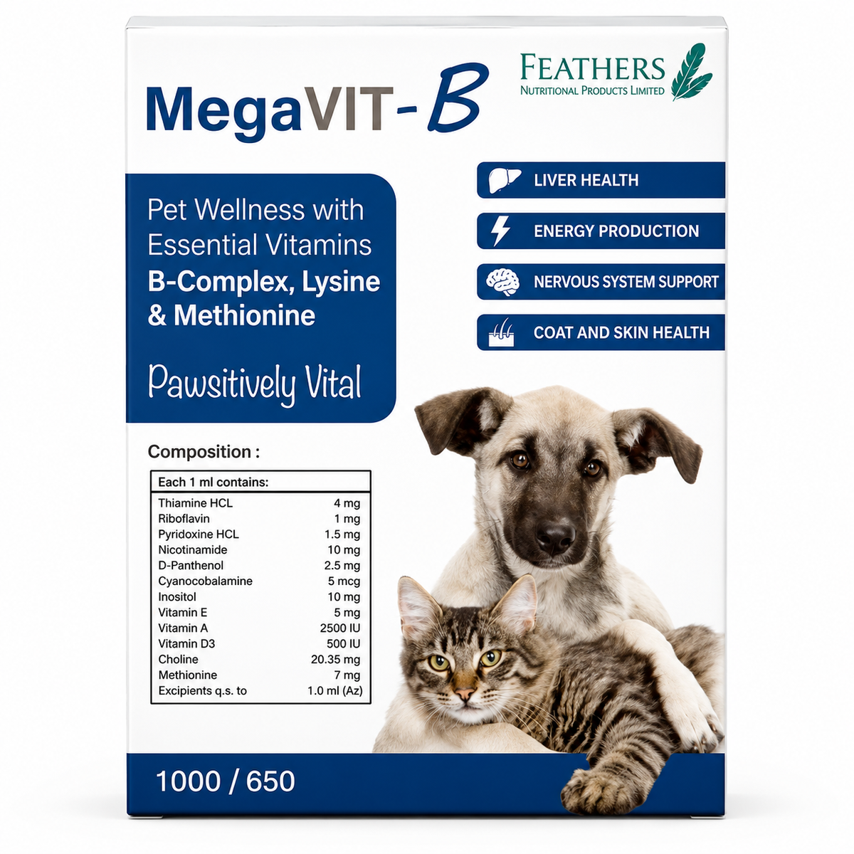 Feathers MegaVIT-B Syrup 1