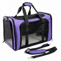 Foldable Soft Side Pet Carrier