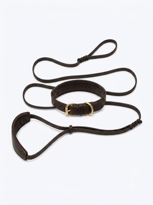 GSD Leather Leash With Neck Collar