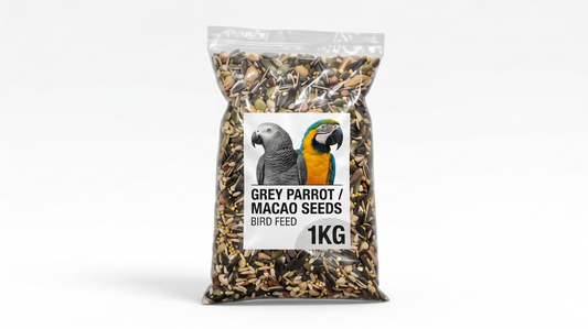 Grey Parrot / Macao Seeds Bird Feed 1KG