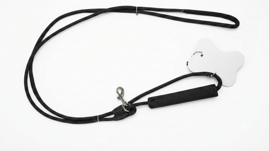 Handle Leash For Dogs