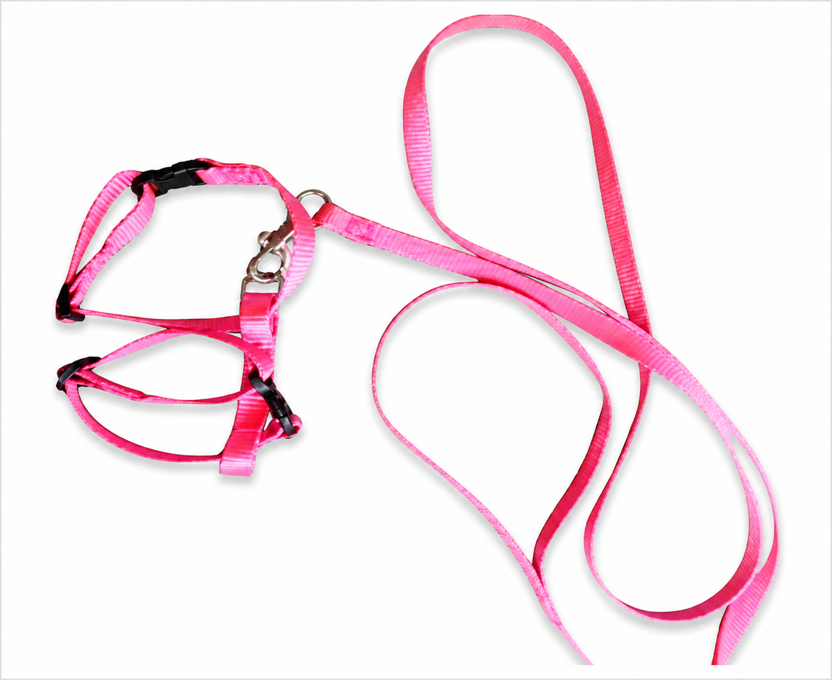 Importd Colorfull harness C