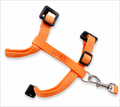 Imported Cat harness Design open BB1-23