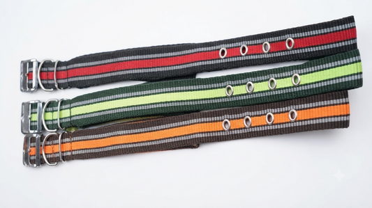 Imported Dog Collar New Design