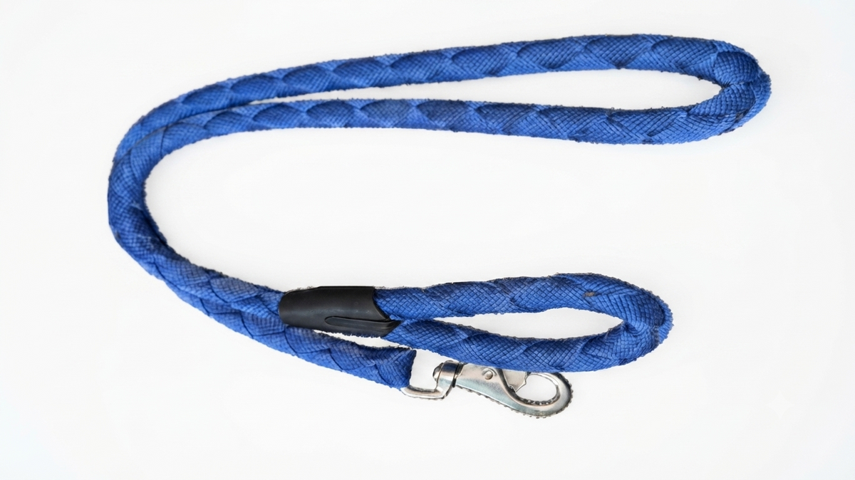 Imported Leash