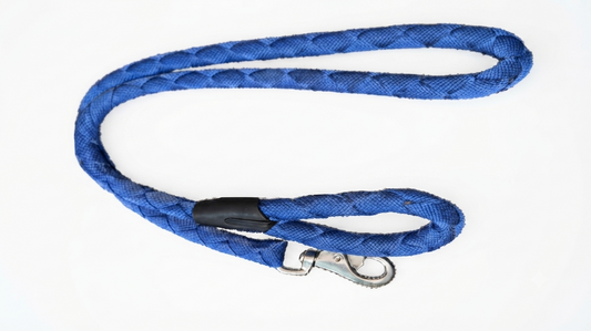 Imported Leash