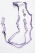 Imported cat n Puppy reflective Leash