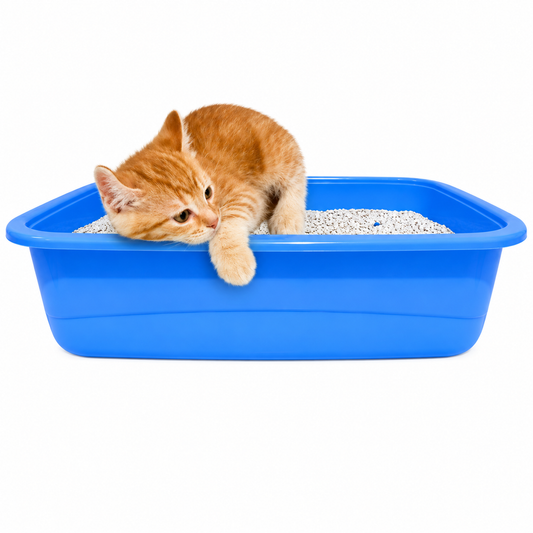 Litter Tray (S) - P