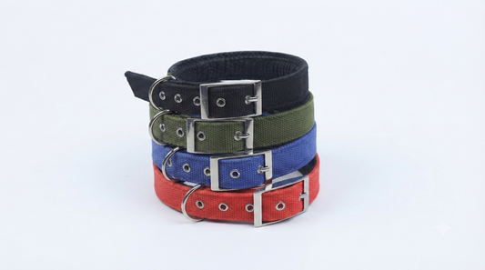 Medium Dog Soft Collar