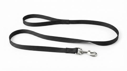 Parasuit Black Puppy Leash