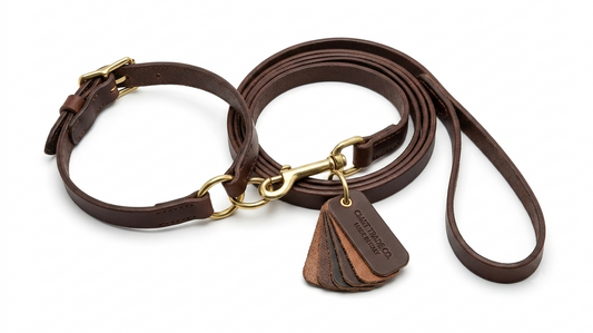 Puppy Choke Leash with Collar
