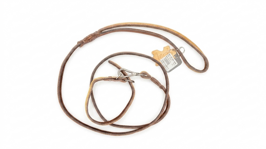 Puppy Leash with Collar