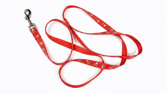 Puppy & Cat Leash