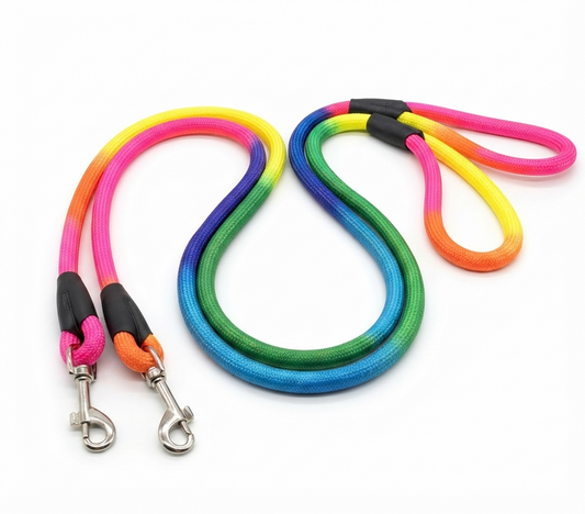 Rainbow Leash