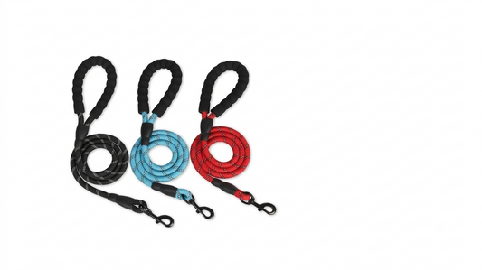 Round Rope Leash Imp Rubber Handle