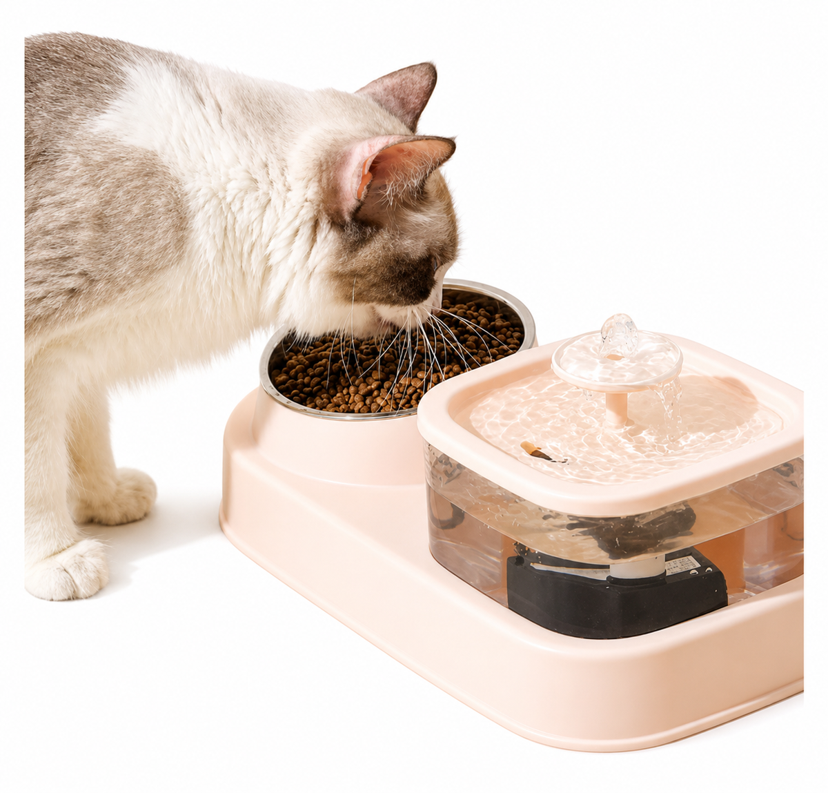 Square Fountain With Feeding Bowl