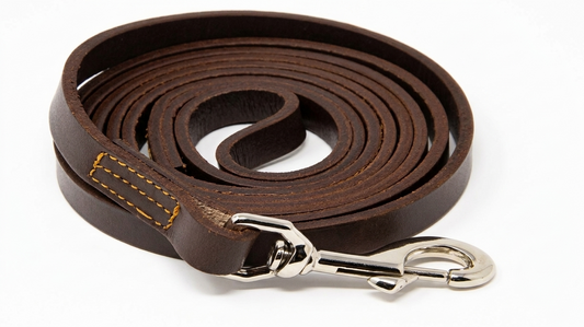 Square Leather Leash