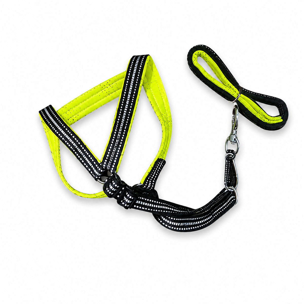 Super Quality Dog Harness With Foam