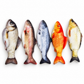 Vibrating Fish Toy