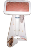 White Brush Card image