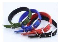 Medium Dog Soft Collar 18"x 1" 265 (3 Sizes In image