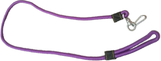 Local Leash image