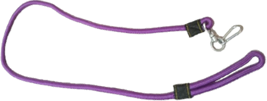 Local Leash image