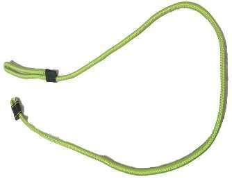 Classic Leash image