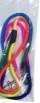 Rainbow Leash image