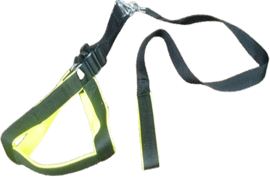 Dog Harness New with Foam (Z.L) 2 Inches image