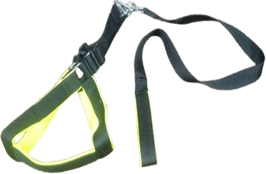 Dog Harness New with Foam (Z.L) 2 Inches image