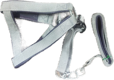 Super Quality Dog Harness With 1.5 inches Foam image
