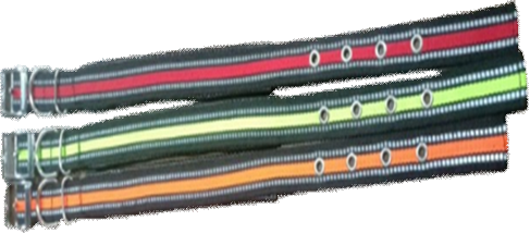 Imported Dog Collar New Design image