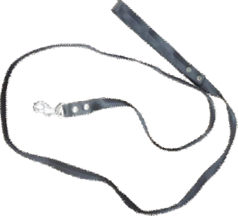 Imp Quality jet Black Leash A.B image