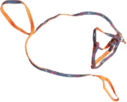 Imported Cat Harness (DH 101) A image