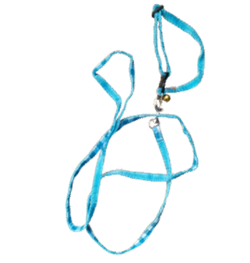 Impoeted cat harness A image