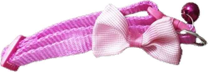 Imported Cat Collar open pink image