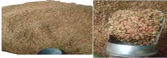 Imported Open Dog Food (Rate according to Qty) image
