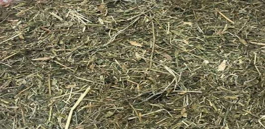 Hay dry AlfhaAlfha (Best for Rabbits & Live Stock) 1kg 20 kg Bag image