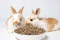 Rabbit Pellet Feed 40 kg Bag 1kg image