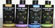 Cat Black Katty image