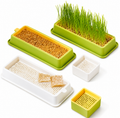 Cat Grass Planter Box