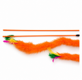Cat Playing Feather Stick Low