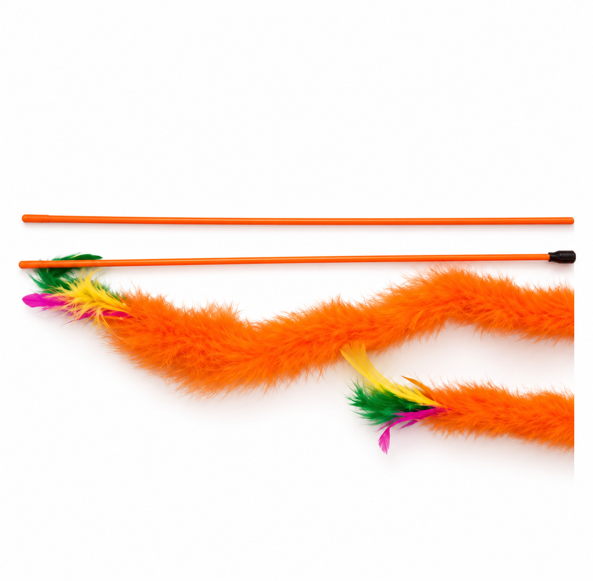 Cat Playing Feather Stick Low