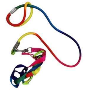 Rainbow Leash With Harness image