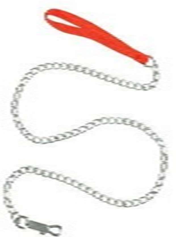 Chain Leash image
