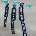 Multi colour Soft Collar With Buckle image