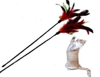 Birds Feather Stick image