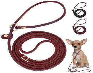 Leather Choke Leash image
