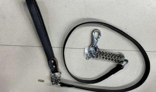 Square Leather leash High with Spring image
